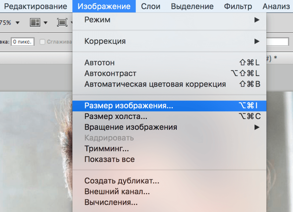 img/2019/05/umenshit-izobrazhenie-14-1024x741.png 1024x741