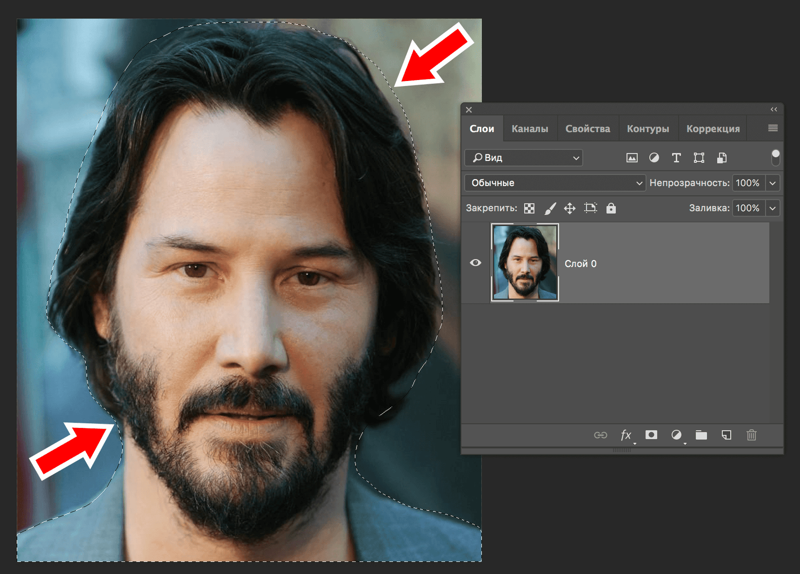 img/2019/06/obychnoye-lasso-2.png 1720x1234