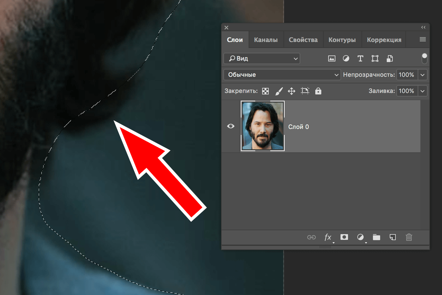 img/2019/06/obychnoye-lasso-6.png 1472x984