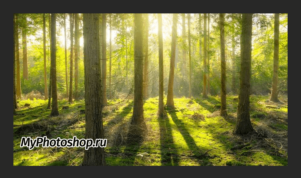 img/2019/06/text-vydeleniye-19.png 988x584