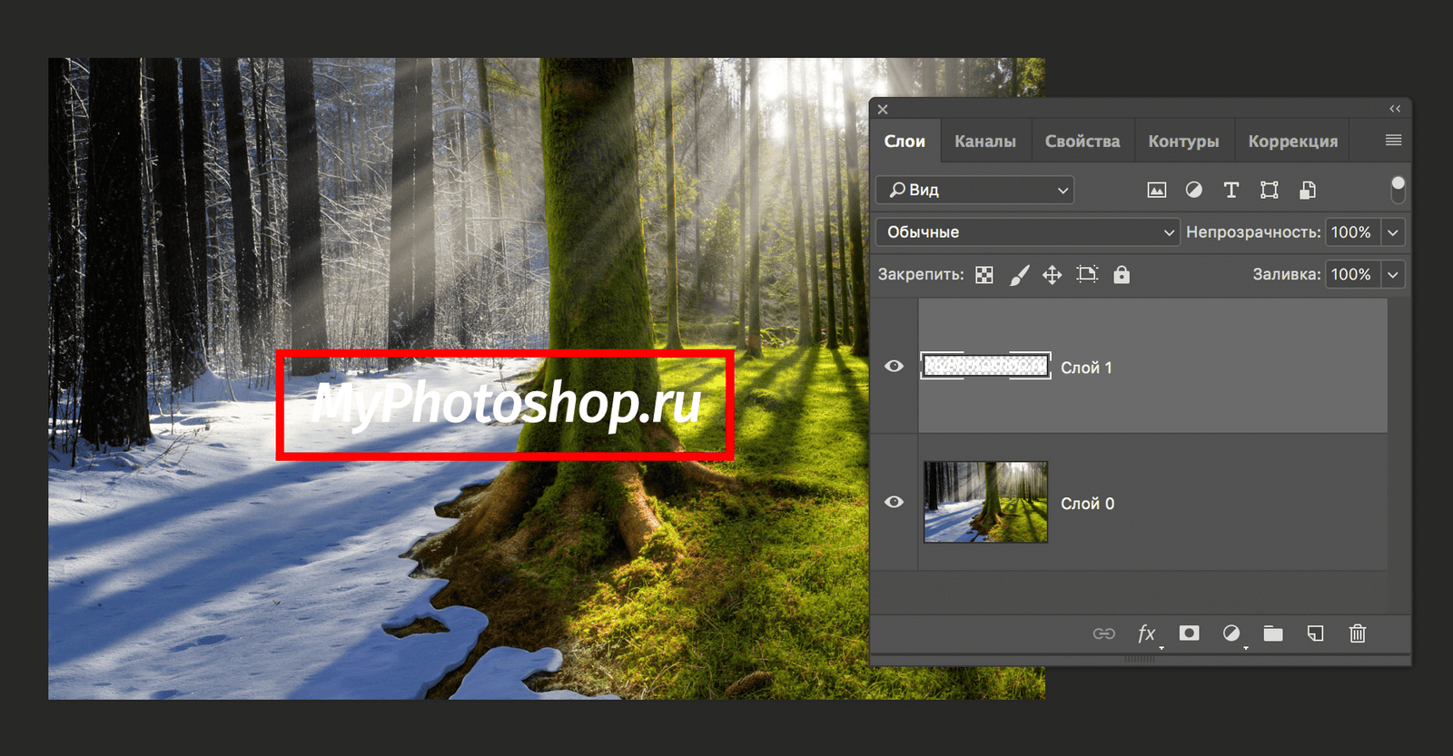 img/2019/06/text-vydeleniye-20.png 1860x967