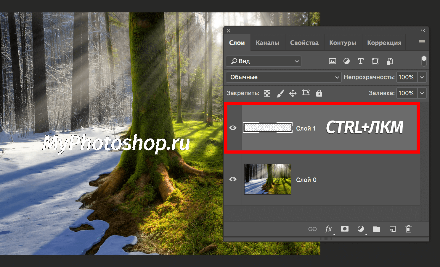 img/2019/06/text-vydeleniye-21.png 1486x903