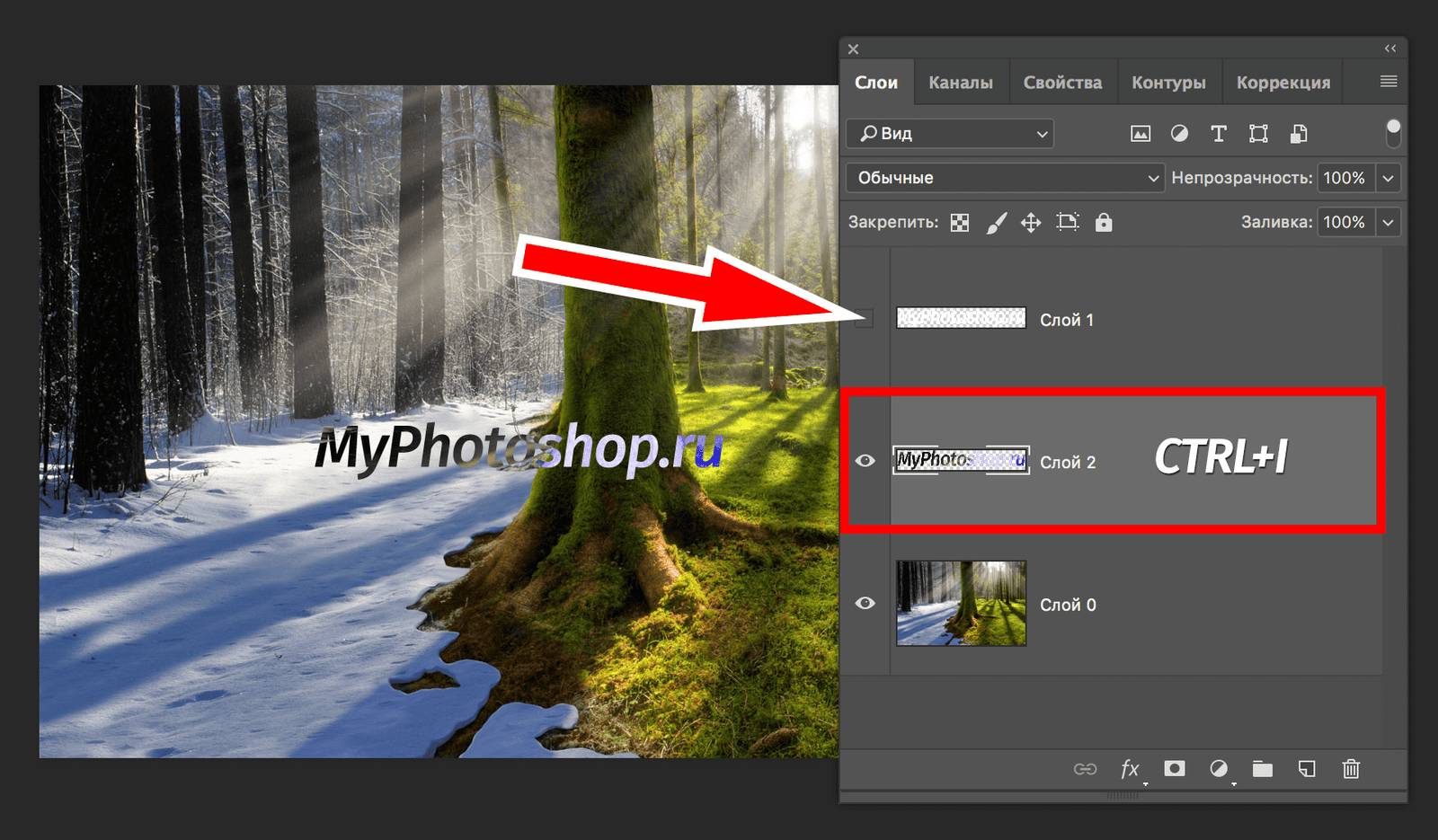 img/2019/06/text-vydeleniye-23.png 1756x1026