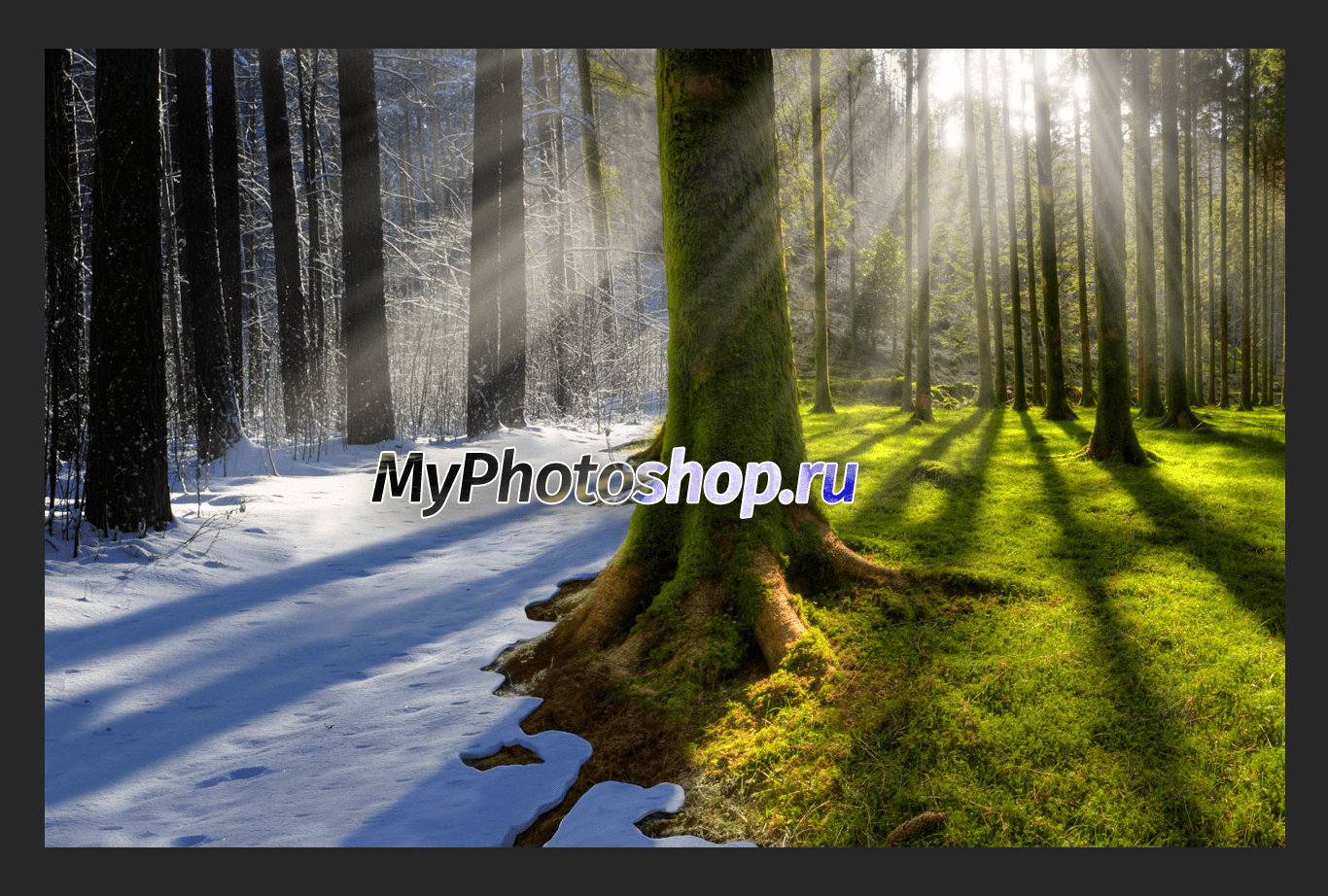 img/2019/06/text-vydeleniye-24.png 1366x922