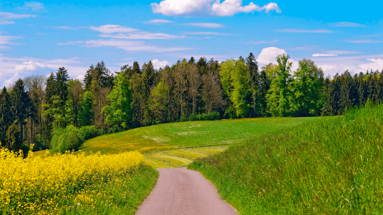 img/2019/08/effekt-dozhdya-1.png 1280x720