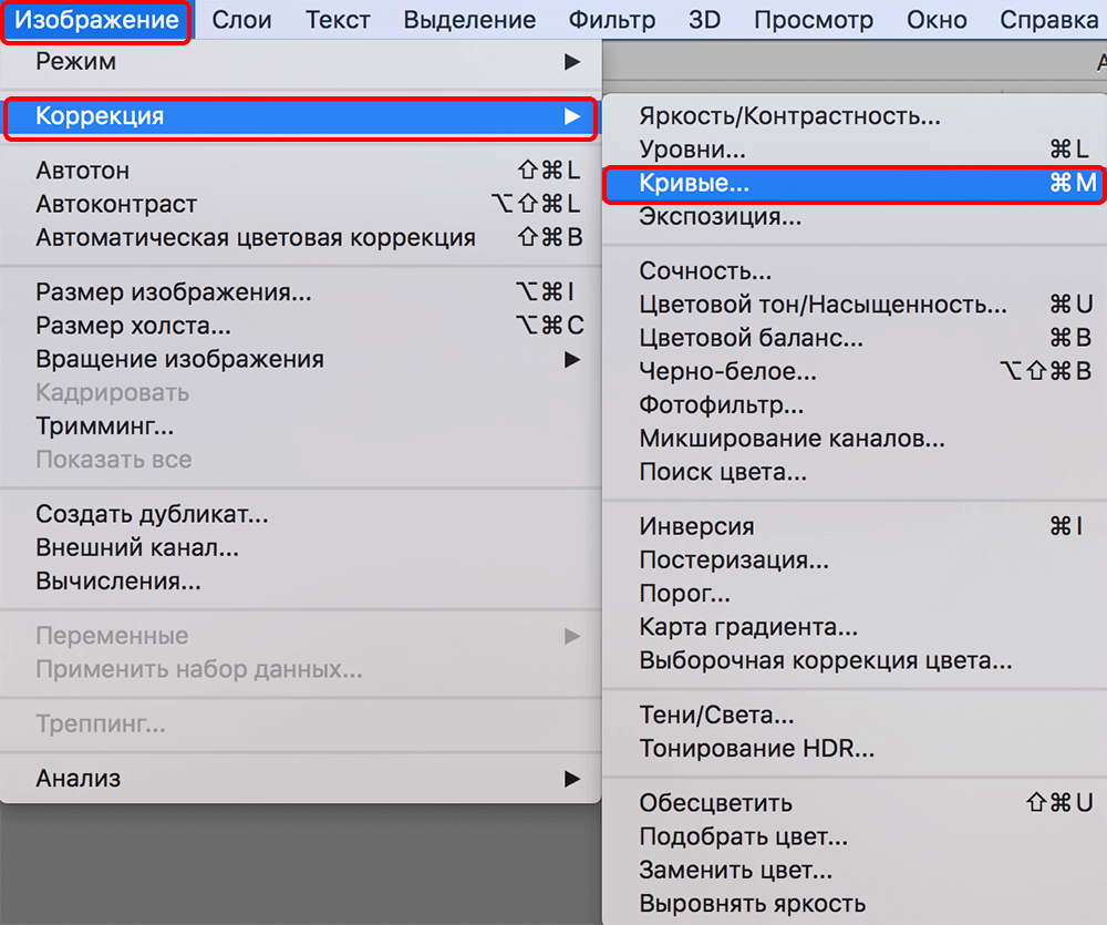 img/2019/10/cvetokor-photo-14.png 1000x835