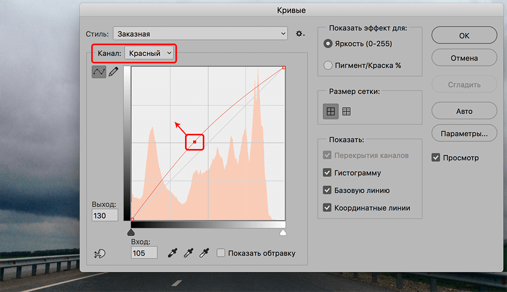 img/2019/10/cvetokor-photo-15.png 1000x576