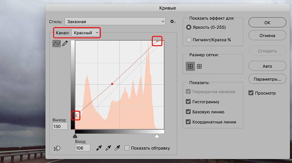 img/2019/10/cvetokor-photo-16.png 1000x558