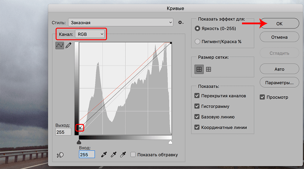 img/2019/10/cvetokor-photo-19.png 1000x555