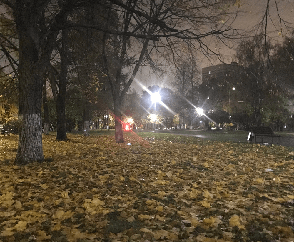 img/2019/10/cvetokor-photo-4.png 1000x823