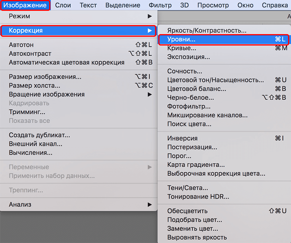 img/2019/10/cvetokor-photo-5.png 1000x833