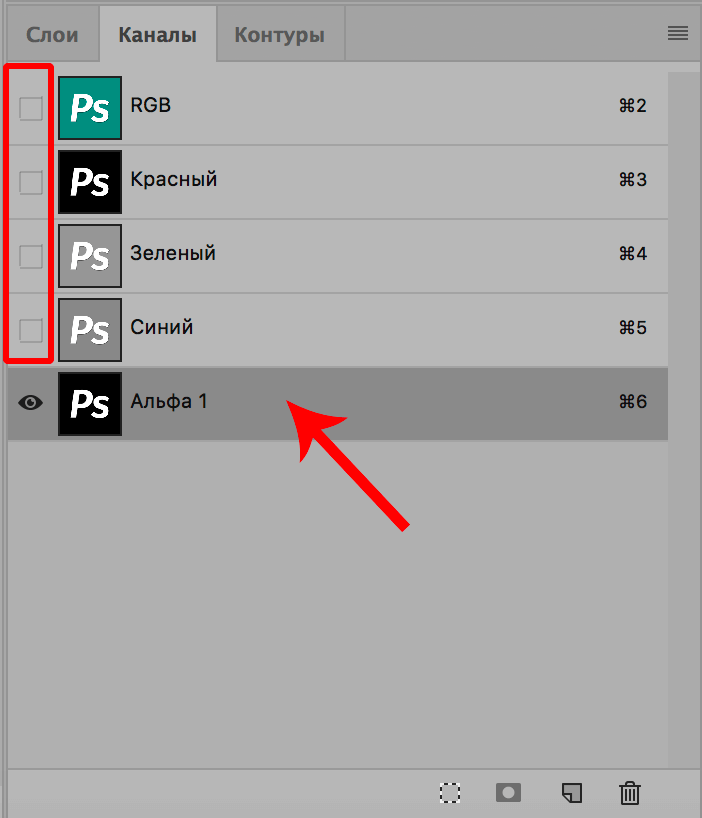 img/2019/11/alfa-kanal-foto-11.png 702x818