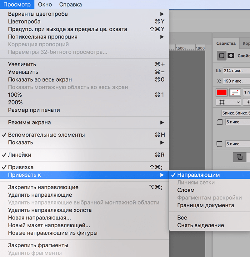 img/2019/11/linii-napravl-foto-8.png 800x821