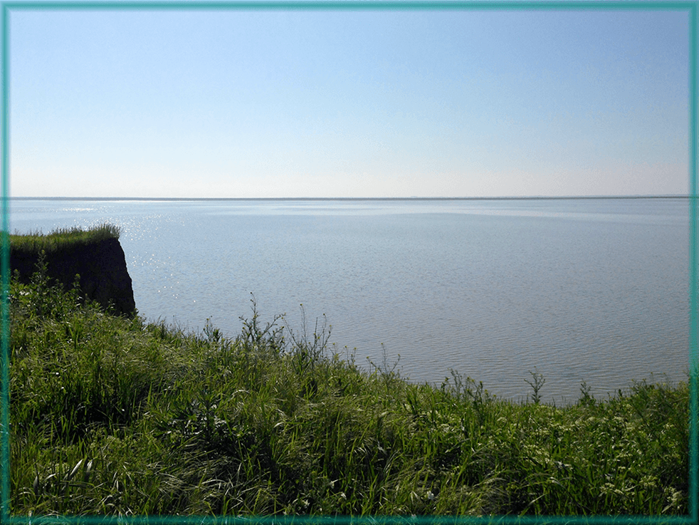 img/2019/11/ramka-vokrug-foto-9-1.png 982x737