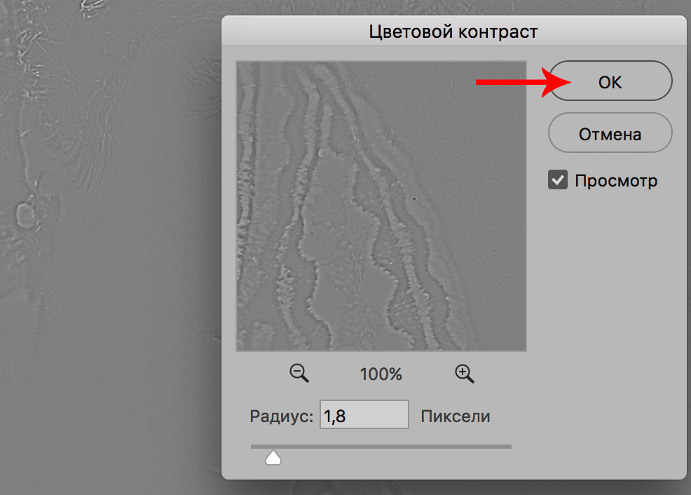 img/2019/11/restavr-star-foto-24.png 986x706