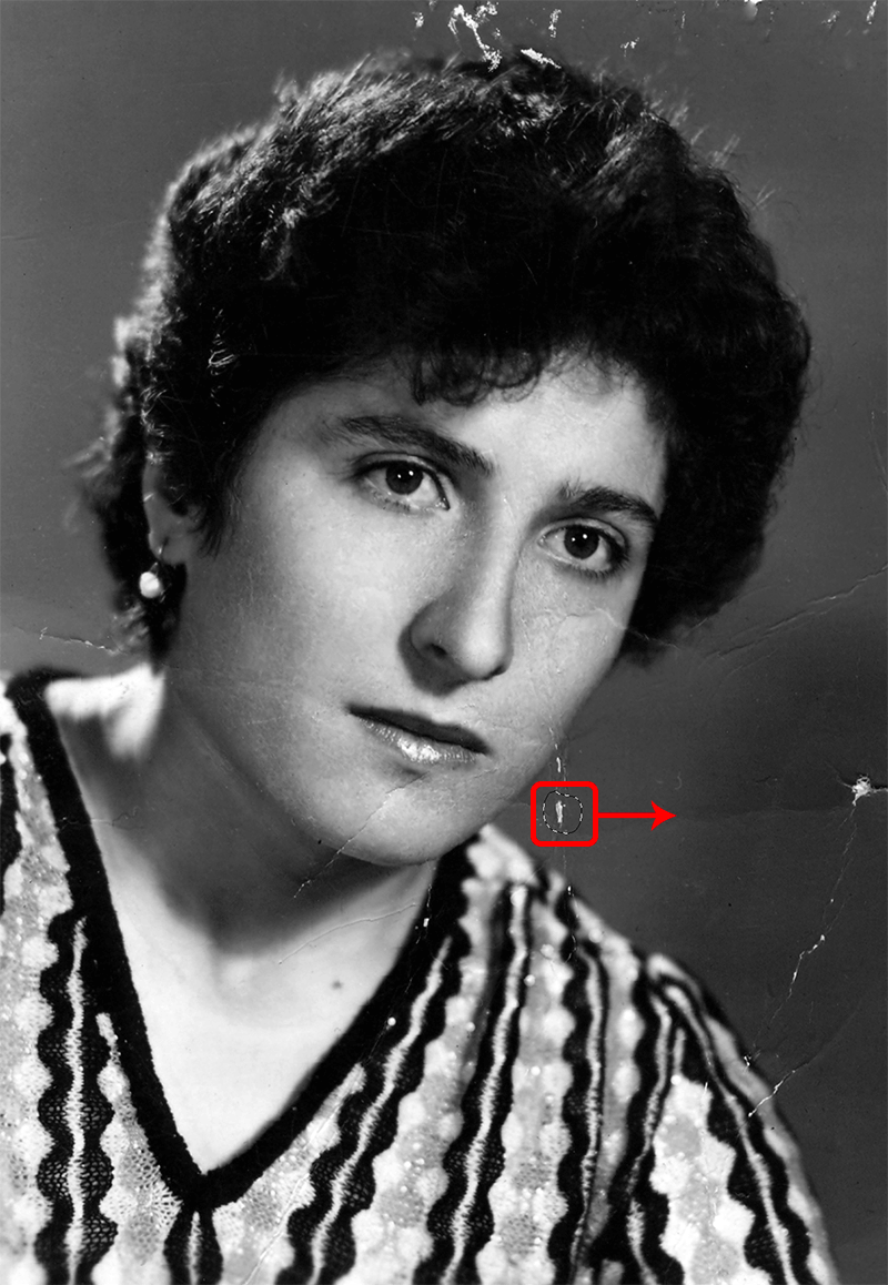 img/2019/11/restavr-star-foto-7.png 800x1158