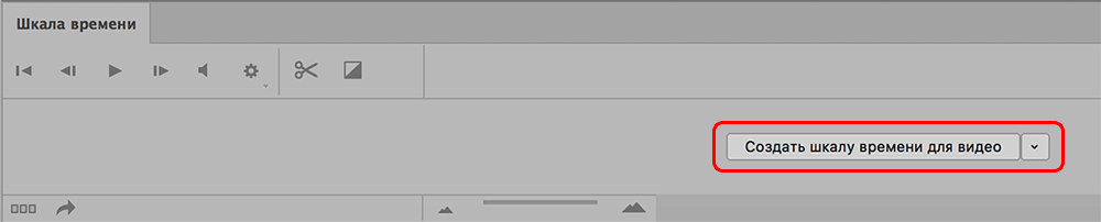 img/2019/11/sozd-anim-foto-7.png 1000x202