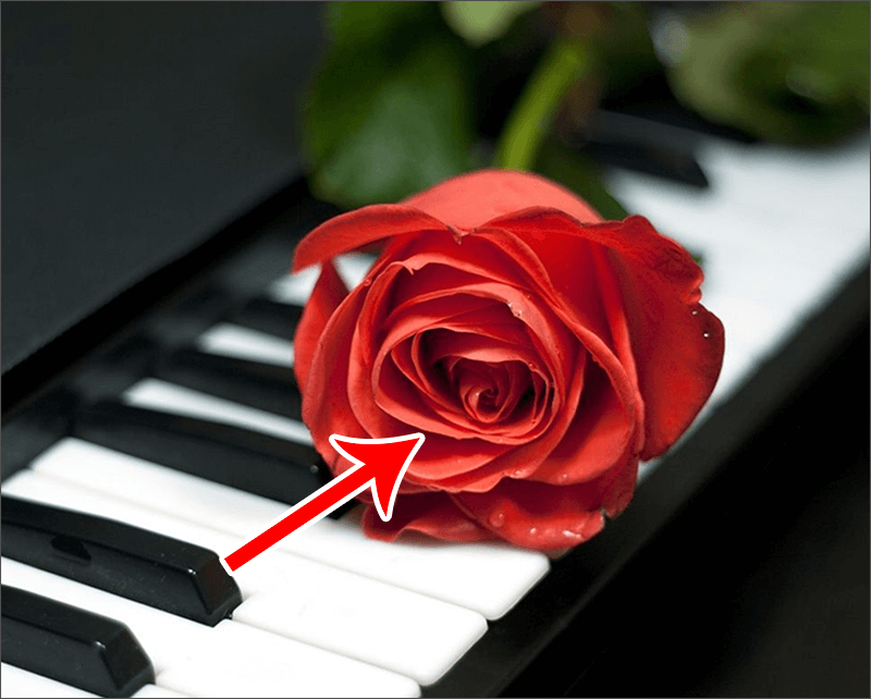 img/2020/05/vydelenie-tsveta-1-1.png 800x642