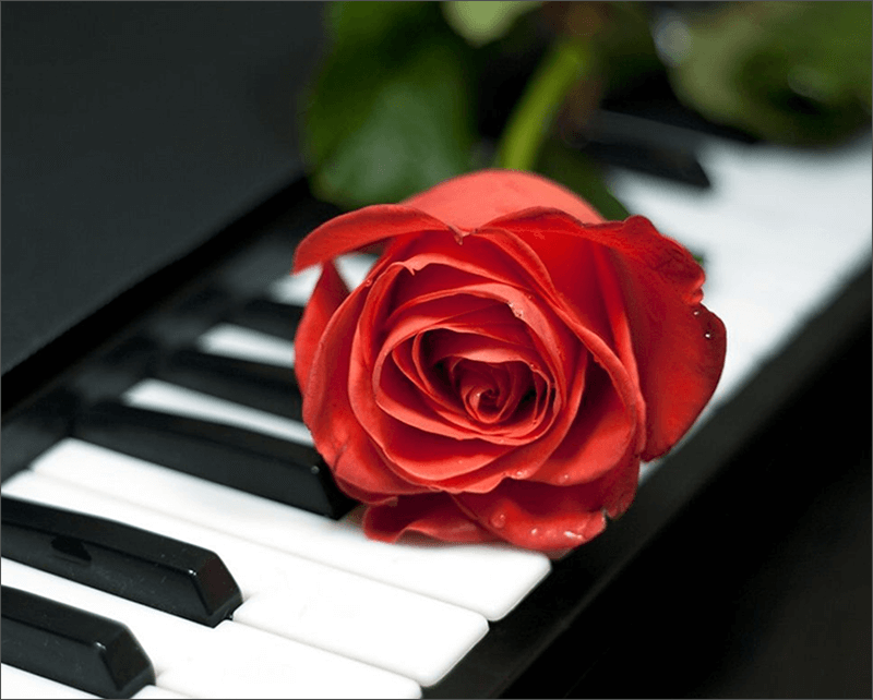 img/2020/05/vydelenie-tsveta-1.png 800x642