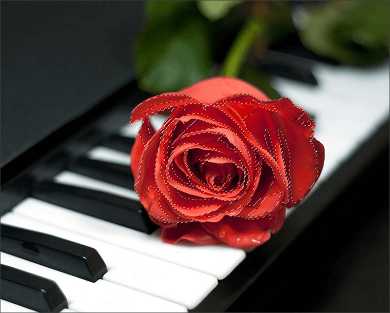 img/2020/05/vydelenie-tsveta-3-1.png 800x642