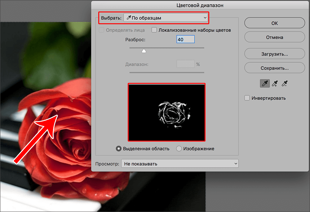 img/2020/05/vydelenie-tsveta-7-1.png 1000x683