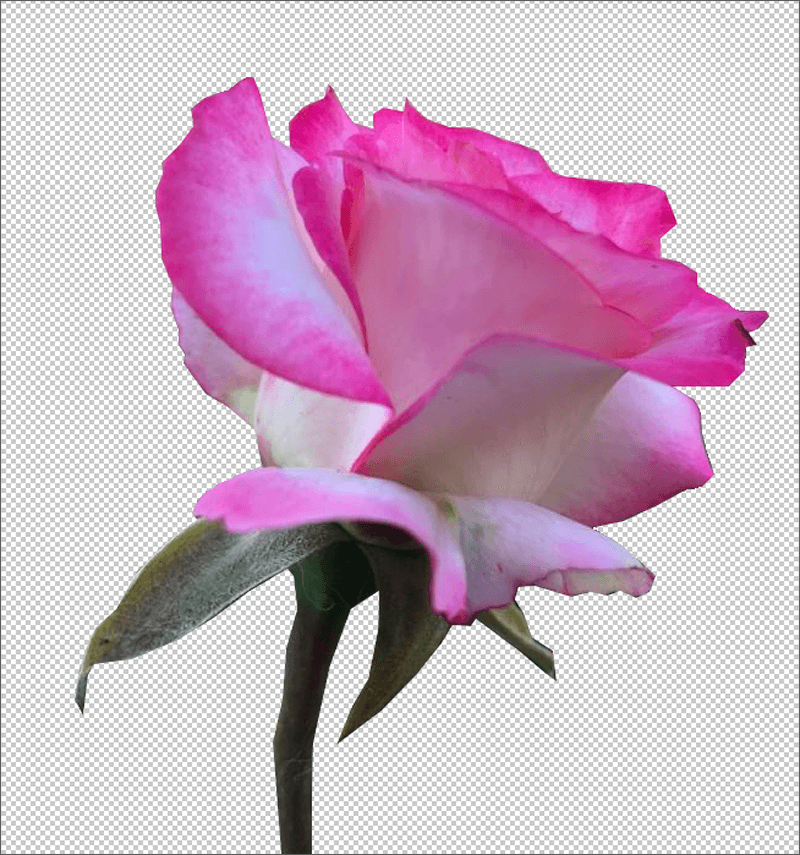 img/2020/07/sglajivanie-krayov-obyekta-1.png 800x855