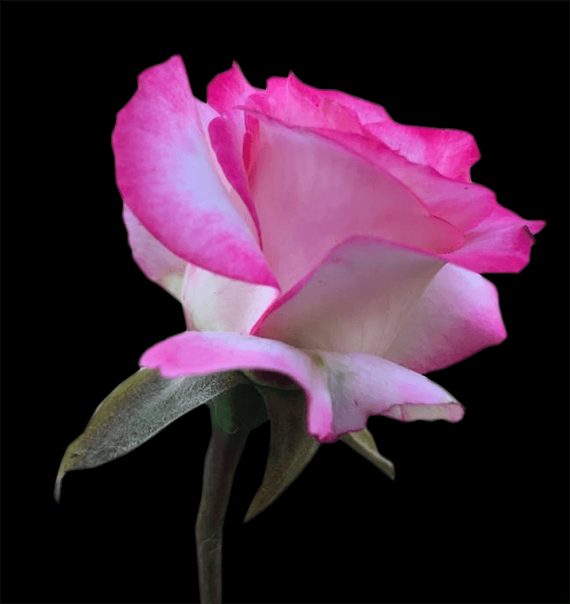 img/2020/07/sglajivanie-krayov-obyekta-12-2.png 800x848