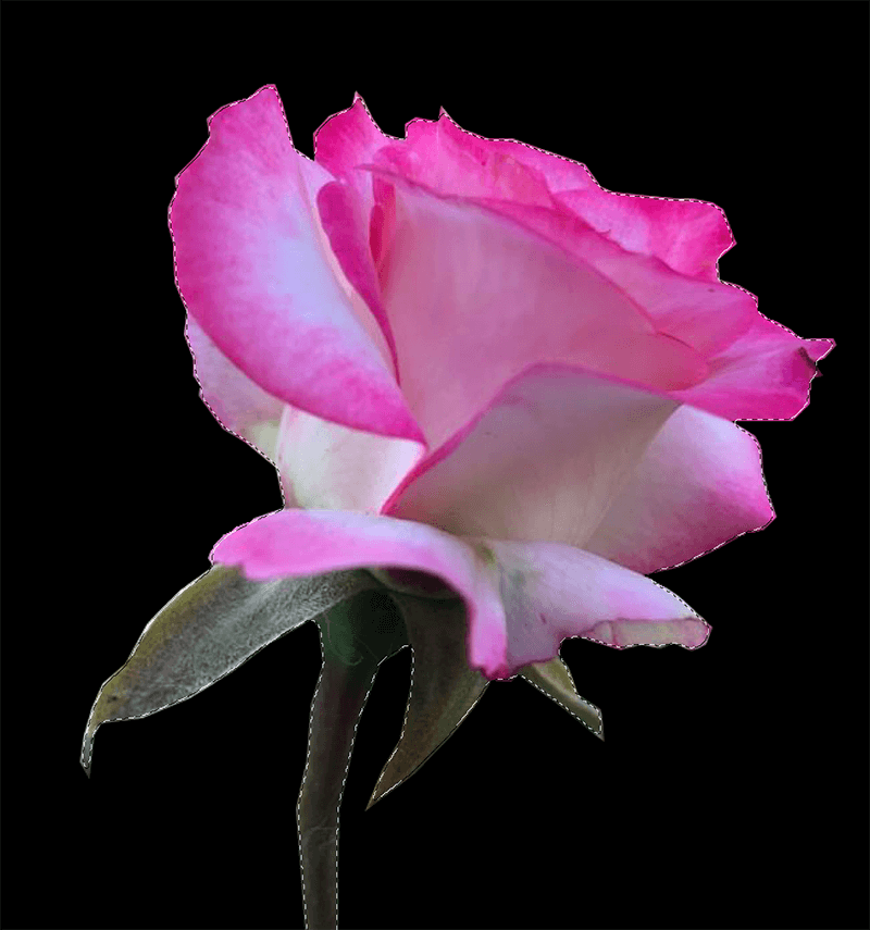 img/2020/07/sglajivanie-krayov-obyekta-9-2.png 800x855