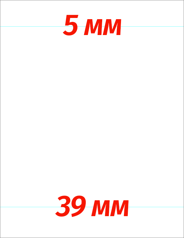 img/2021/02/foto-na-dokumenty-10.png 616x795