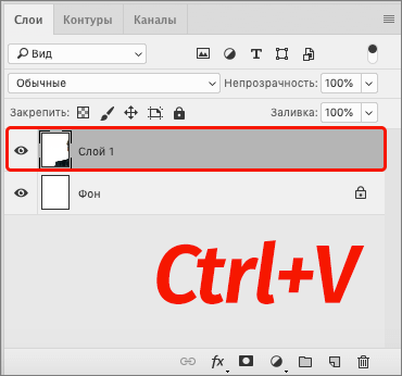 img/2021/02/foto-na-dokumenty-13.png 370x346