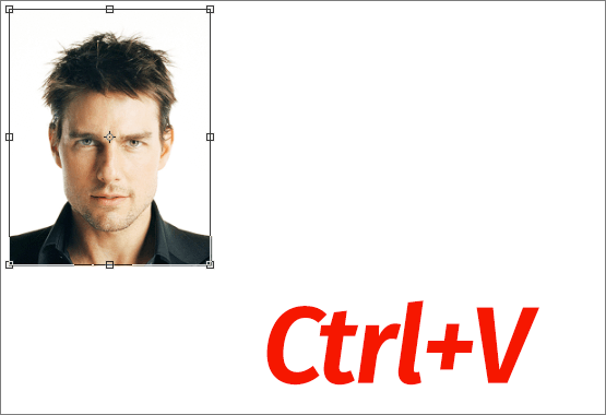 img/2021/02/foto-na-dokumenty-25.png 555x380