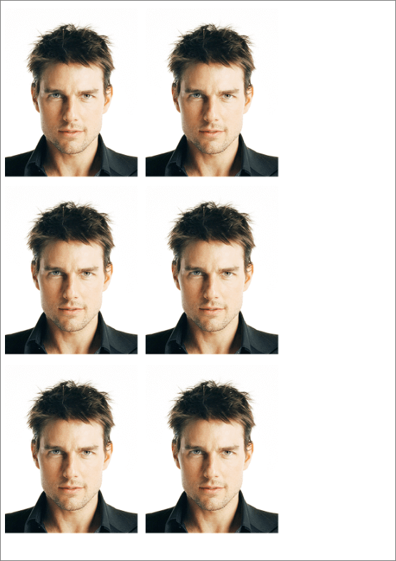 img/2021/02/foto-na-dokumenty-28.png 555x785