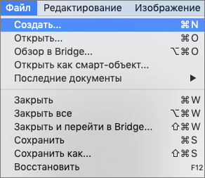 img/2021/02/foto-na-dokumenty-4.png 292x253