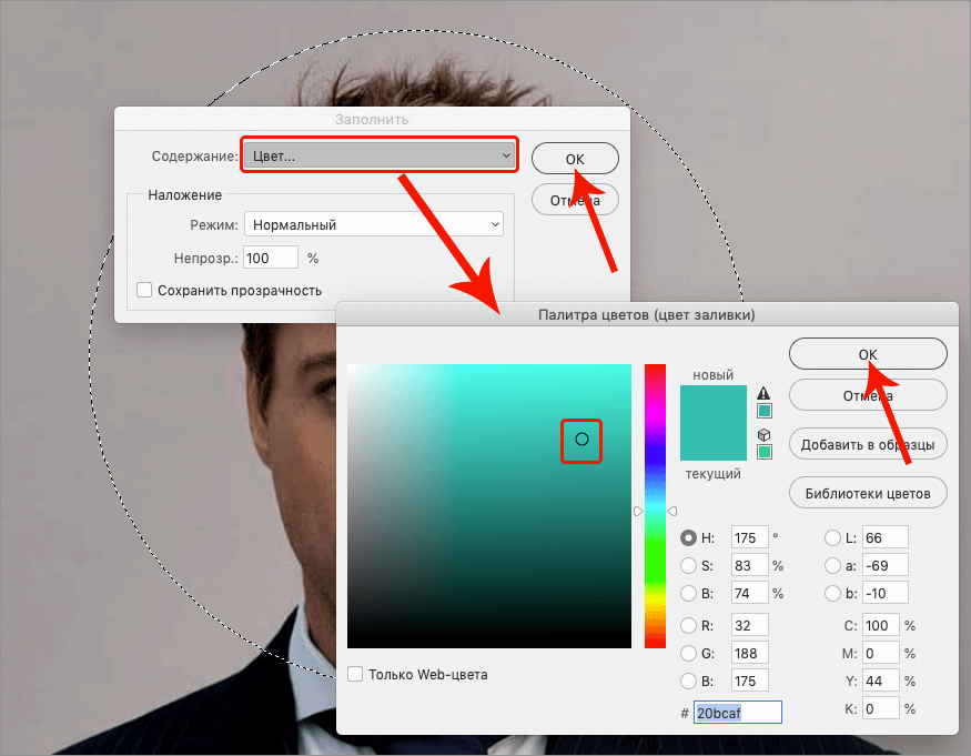 img/2021/02/krugloe-foto-13.png 875x681
