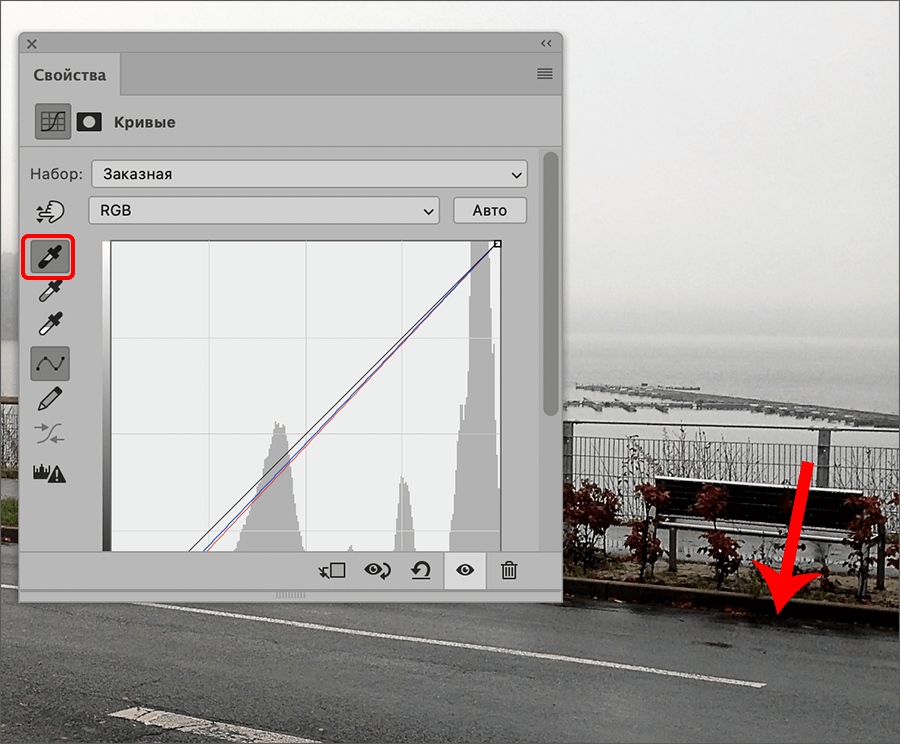 img/2021/08/foto-yarche-20.png 900x744