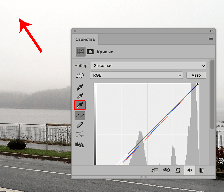 img/2021/08/foto-yarche-21.png 900x773