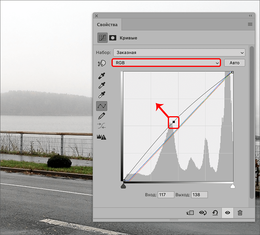 img/2021/08/foto-yarche-23.png 900x815