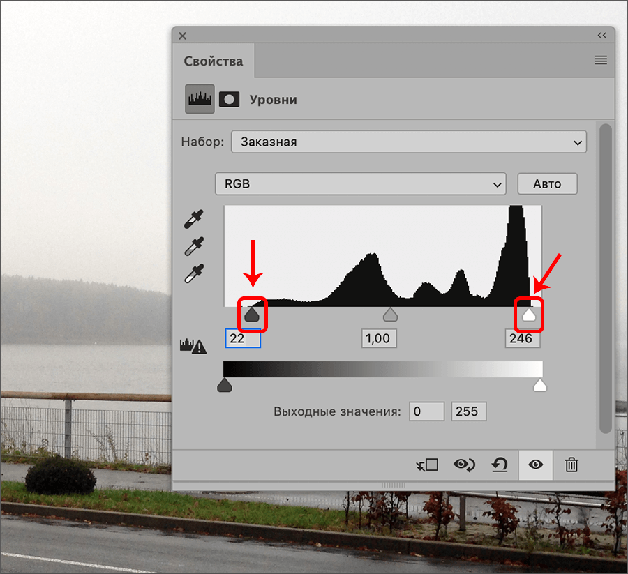 img/2021/08/foto-yarche-5.png 900x823