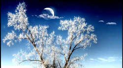  Создание простого коллажа