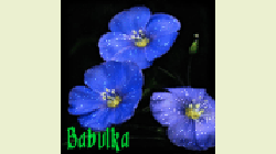  Делаем анимированную аватарку с блёстками