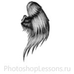 Кисти в виде крыльев ангела для Фотошопа - кисть 28