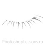Кисти в виде ресниц для Фотошопа - кисть 27