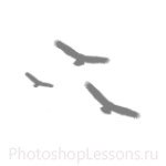 Кисти в виде силуэтов птиц для Фотошопа - кисть 2