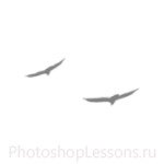 Кисти в виде силуэтов птиц для Фотошопа - кисть 21