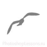 Кисти в виде силуэтов птиц для Фотошопа - кисть 32