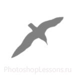 Кисти в виде силуэтов птиц для Фотошопа - кисть 34