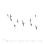 Кисти в виде силуэтов птиц для Фотошопа - кисть 4