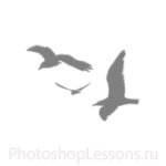 Кисти в виде силуэтов птиц для Фотошопа - кисть 47