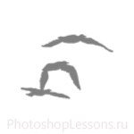 Кисти в виде силуэтов птиц для Фотошопа - кисть 51