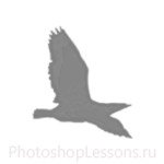 Кисти в виде силуэтов птиц для Фотошопа - кисть 60